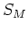 $S_{M}$