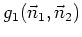 $g_{1}(\vec{n}_{1},\vec{n}_{2})$