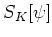 $S_{K}[\psi]$