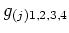 $\displaystyle g_{(j)1,2,3,4}$
