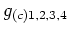 $g_{(c)1,2,3,4}$