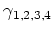 $\gamma_{1,2,3,4}$