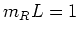 $m_{R}L=1$