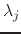 $\lambda_{j}$