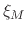 $\xi _{M}$