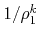 $1/\rho_{1}^{k}$