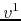 $v^{1}$