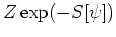 $Z\exp(-S[\psi])$